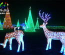 夢幻圣誕樹燈光節出售大型圣誕樹裝飾