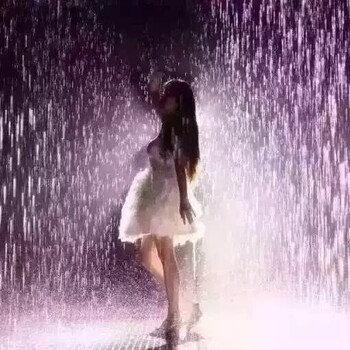 雨屋出售、雨屋出租設計安裝