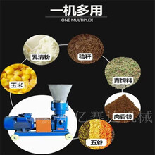 家用型饲料颗粒机猫砂颗粒生产线150型颗粒机