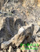 日喀则地区劈裂机隧道掘进打石头劈裂棒配件