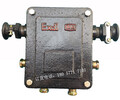 BHD2-1/127-8G煤矿用隔爆型低压电缆接线盒