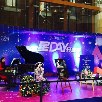 深圳市龙岗布吉国展苑承接各种策划、礼仪庆典、文艺演出、舞台搭建