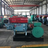 潍坊特斯拉动力科技10-24kw柴油发电机组柴油机发电机单缸柴油发电机组图片2