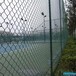 东莞球场围网包塑丝球场围网价格篮球场勾花网