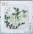 带香味的《桃花》邮票图片