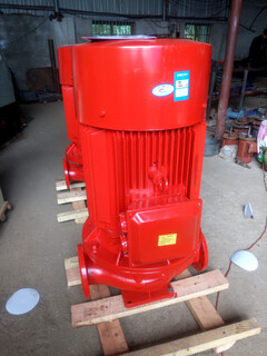XBD3.2/152-250L-315消防稳压泵立式管道消防泵制作厂家图片4