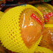 江苏水蜜桃包装发泡网膜网袋机物理发泡网套挤出机