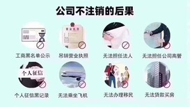 东城演出证办理帮办业务图片5