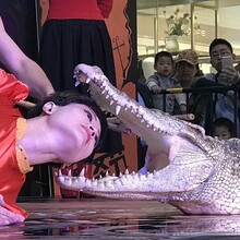 华东区域专业动物展览