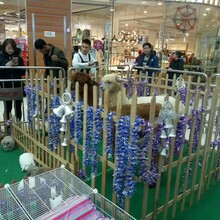 江苏地区进行动物展览活动提供，价格公道，服务第一；欢迎来询