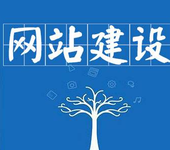 专业承接软件开发、网站建设、互联网开发业务