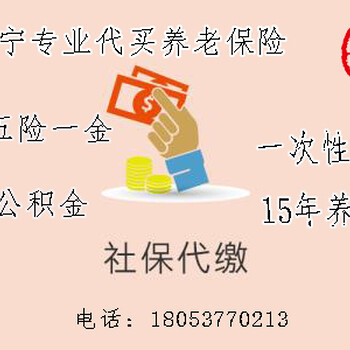 一次性补交1-15年养老险