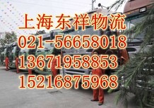 上海发货到晋中榆社县物流公司欢迎您图片3