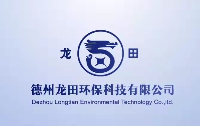  Dezhou Longtian Environmental Protection Technology Co., Ltd