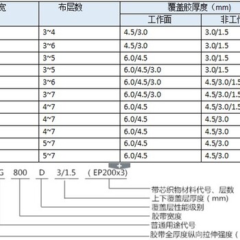 聚酯输送带,EP聚酯输送带,橡胶输送带,传送带