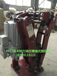 YPZ2系列电力液压臂盘式制动器图片0