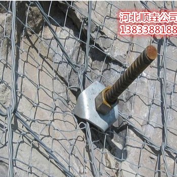 主動(dòng)防護(hù)網(wǎng)A姚安主動(dòng)防護(hù)網(wǎng)A主動(dòng)防護(hù)網(wǎng)廠家