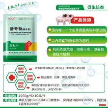 速长型精品舒奇特,莆田舒奇特日长3斤图片