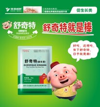 速长型速长型舒奇特,平顶山舒奇特皮红毛亮图片