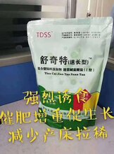咸阳舒奇特瘦肉多压称,精品舒奇特图片