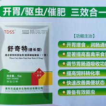 速长型精品舒奇特,朝阳舒奇特日长3斤图片