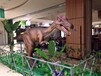 恐龙出租恐龙模型恐龙主题展恐龙商业活动展览恐龙展价格询问