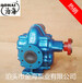 浙江齿轮泵KCB200齿轮油泵不锈钢齿轮泵润滑油泵