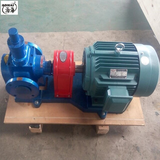 金海泵业YCB圆弧齿轮油泵液压油泵低噪音耐磨圆弧泵现货图片5