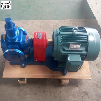圆弧齿轮油泵YCB液压齿轮泵低噪音齿轮油泵泊海厂家