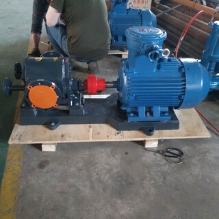 工业保温泵WQCB保温齿轮油泵拌合站沥青输送泵图片5