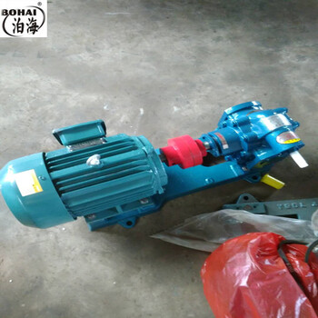 KCB齿轮油泵润滑油泵机油泵合金耐磨齿轮泵