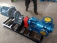 金海泵业高粘度保温转子泵NYP内啮合转子泵树脂打料泵现货