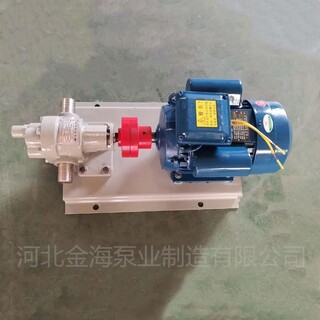 增压输油泵KCB55齿轮油泵机械设备润滑油泵送料泵图片5