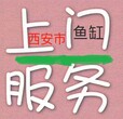 鱼缸上门清洗