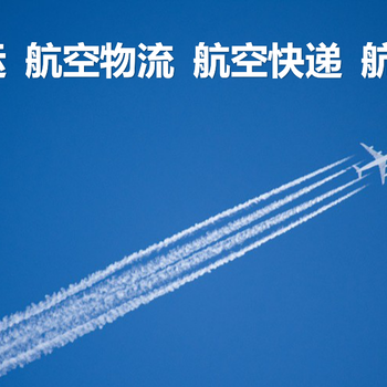 文件资料标书、U盘合同图纸、票据图书发票航空托运