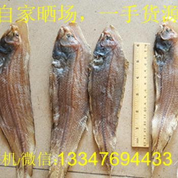 广西北海龙利鱼干货源