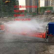 湖南省湘乡市厂家直销嘉化洁pf-50高效洗轮机图片