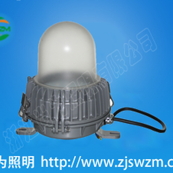 SW7100泛光灯_SW7100防眩照明100W灯具中