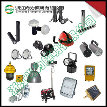 SW2420防爆LED工作燈_尚為SZSW2420照明