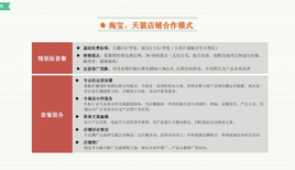 杭州天猫代运营公司介绍淘宝代运营合作淘宝天猫网店代运营公司排名图片3