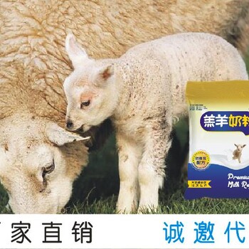 羔羊奶粉羔羊代乳粉的正确喂养方法
