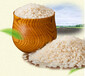 吉林大米阿里巴巴厂家直销东北大米有机胚芽米散粮批发OEM定制