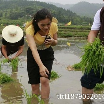 九华福地招募村民九华山种福地