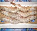 厄瓜多尔白虾进口如何报关关税有多少图片