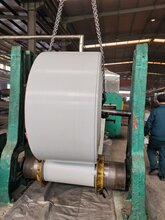 鹤壁白色大倾角输送带价格,白色大倾角挡边带图片