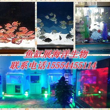 魚缸展出租的價(jià)格