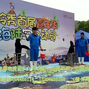 哪里有出租海獅表演的具體地址