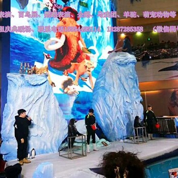 哪里有出租海獅表演的具體地址