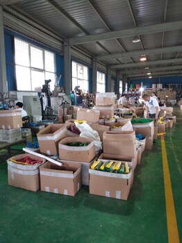 清潔毛刷食品行業(yè)清潔手刷