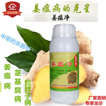 河北唐山姜瘟病，你控制好了嗎？濰坊奧豐廠家姜瘟凈